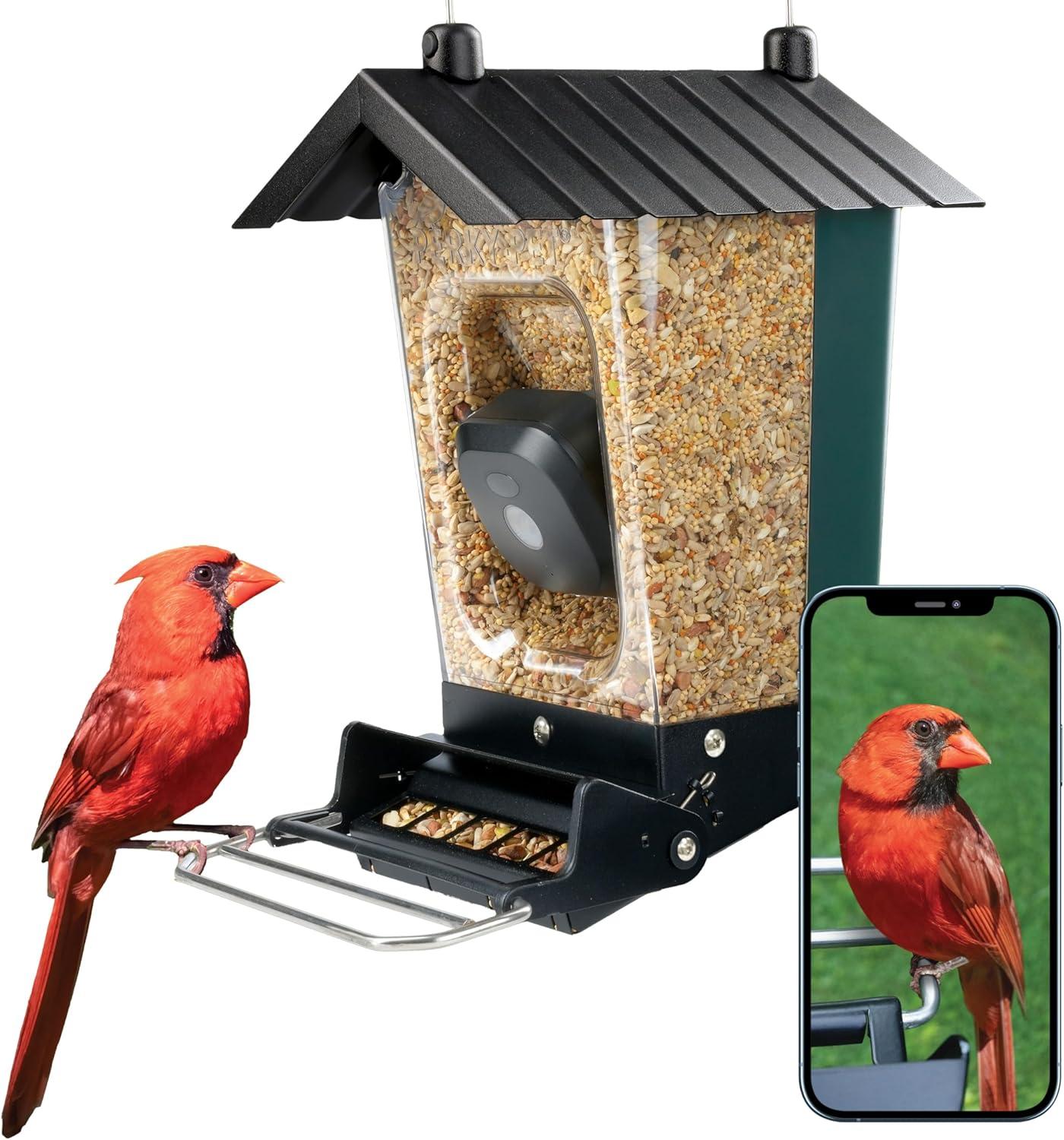 Smart Bird Feeder Showdown: Tested Perky-Pet’s Wi-Fi, Motion HD... No Squirrels!