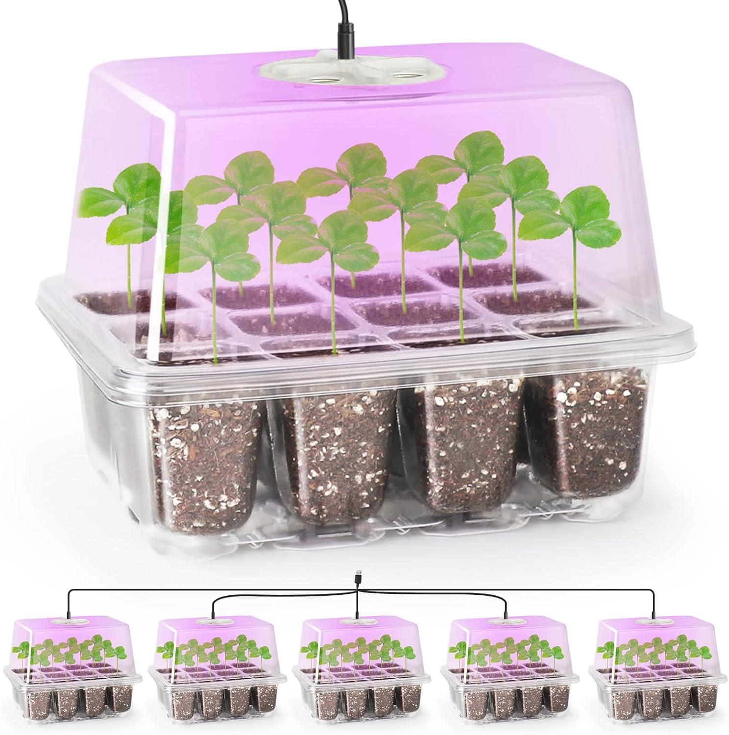 Surprising Seed Starter Showdown!