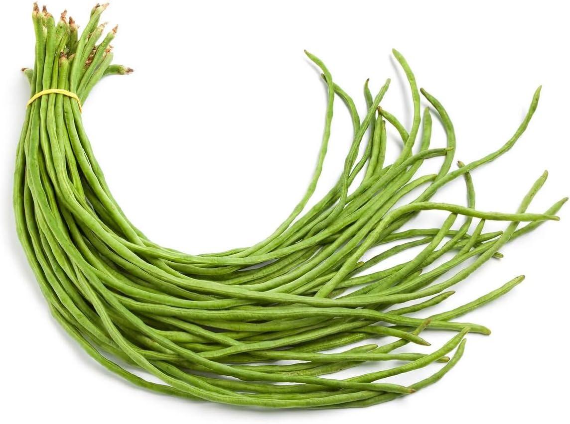 Tested: 30+ Yd Asian Beans vs. Heirloom USA... Surprising Yield Keeps Kitchen Buzzin!