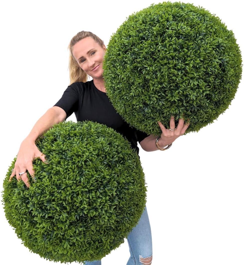Topiary Showdown: Best Ball vs Boxwood? Tested Style
