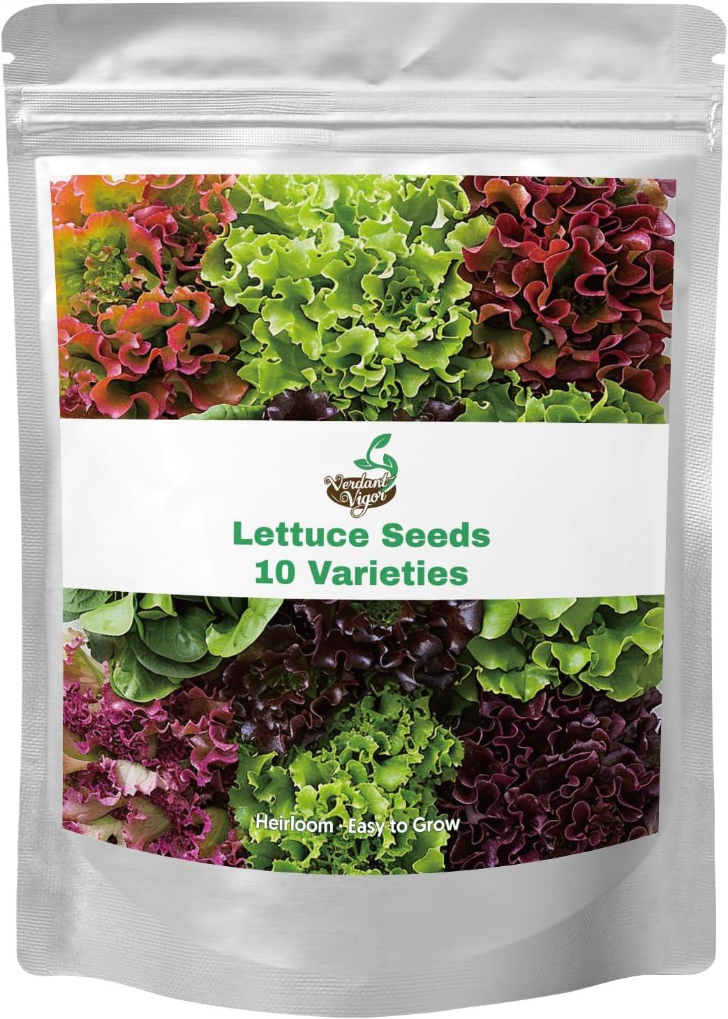 Versus Salad Seeds: 20,000+ Heirloom, Non-GMO Tested: Indoor Outdoor... Grow Surprisingусть
